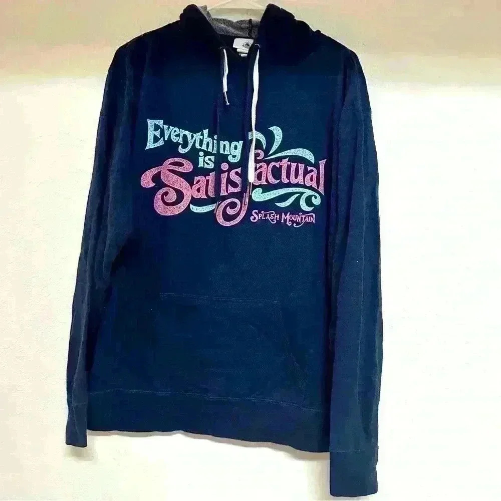 *RARE* Disney Parks Everything is Satisfactual Splash Mountain Retired Hoodie